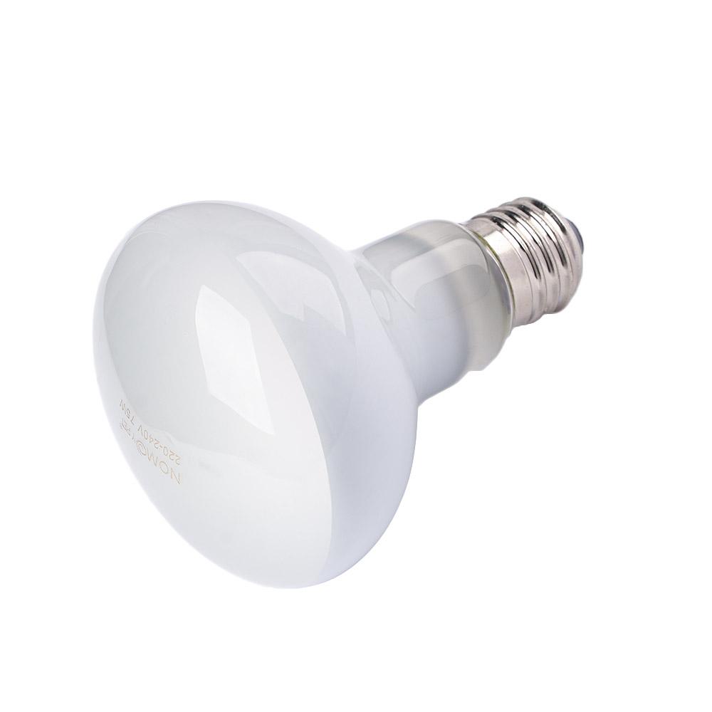 Basking Bulb Halogen - Contrôleur de température pour terrarium, ampoule