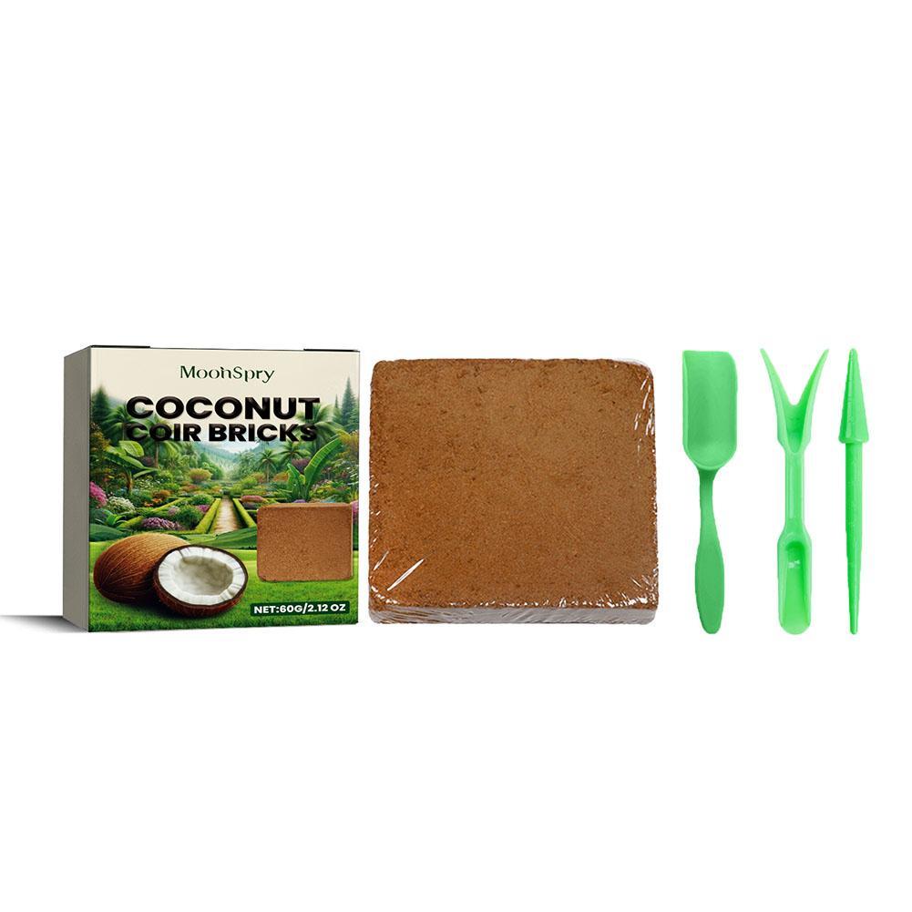 Substrate Coconut Fiber - Sol d'ampli de reptile de coco