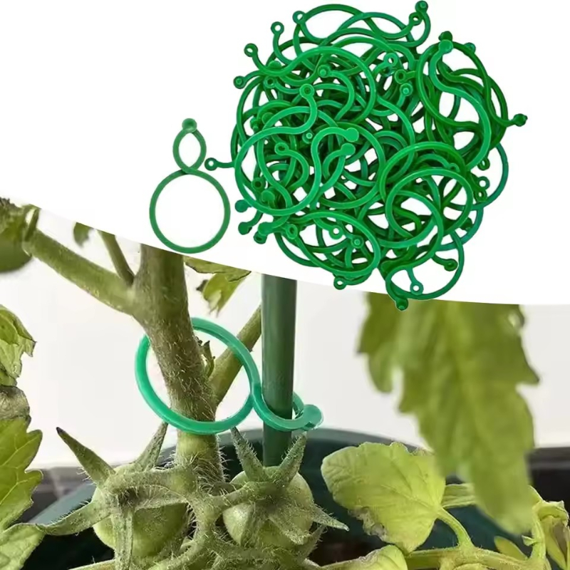 Vine Climbing Plastic - 50-400 pièces de clips de support