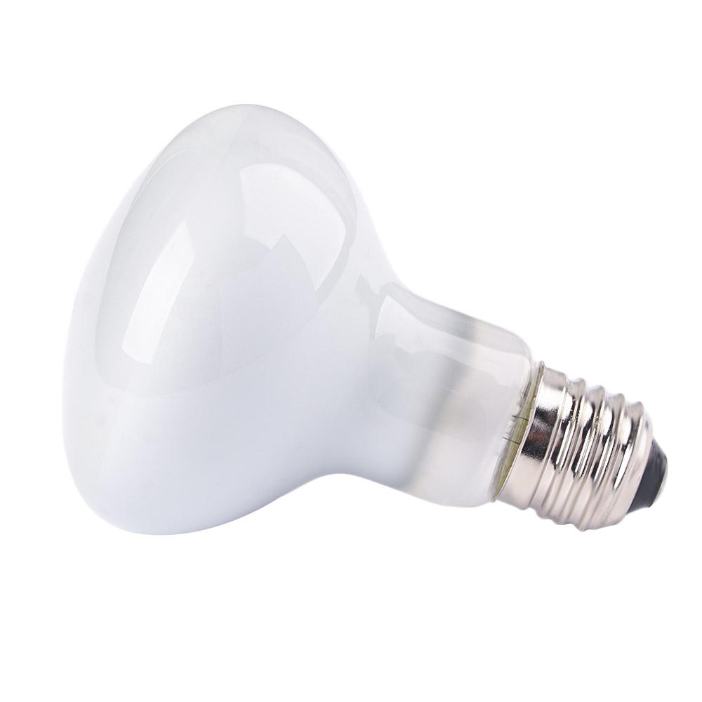 Basking Bulb Halogen - Lampe chauffante pour amphibiens, ampoule halogène,