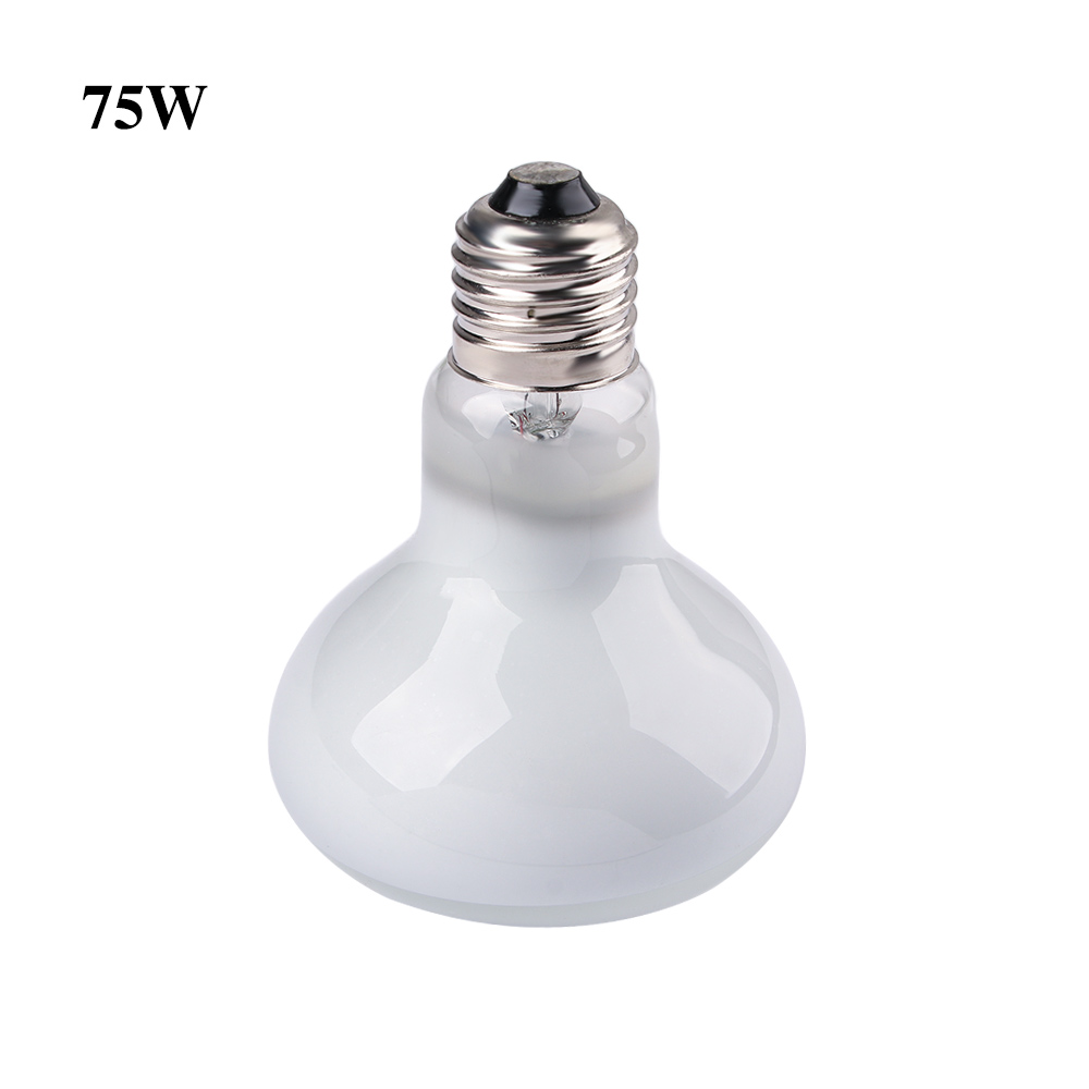 Basking Bulb Halogen - Lampe chauffante pour tortue, ampoule halogène,