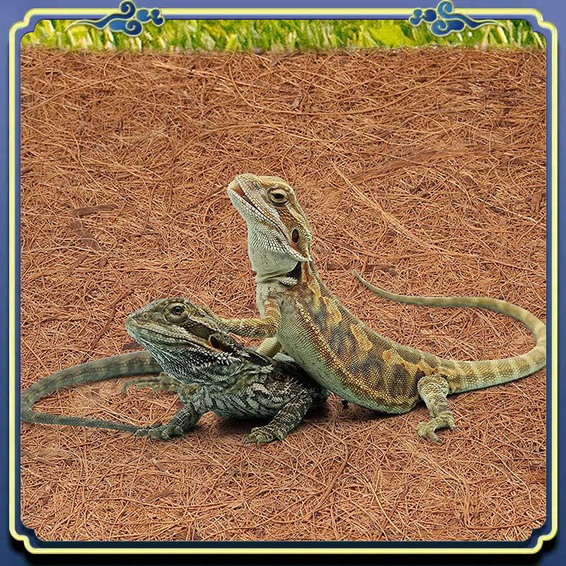 Substrate Coconut Fiber - Dernier tapis en Fiber de noix
