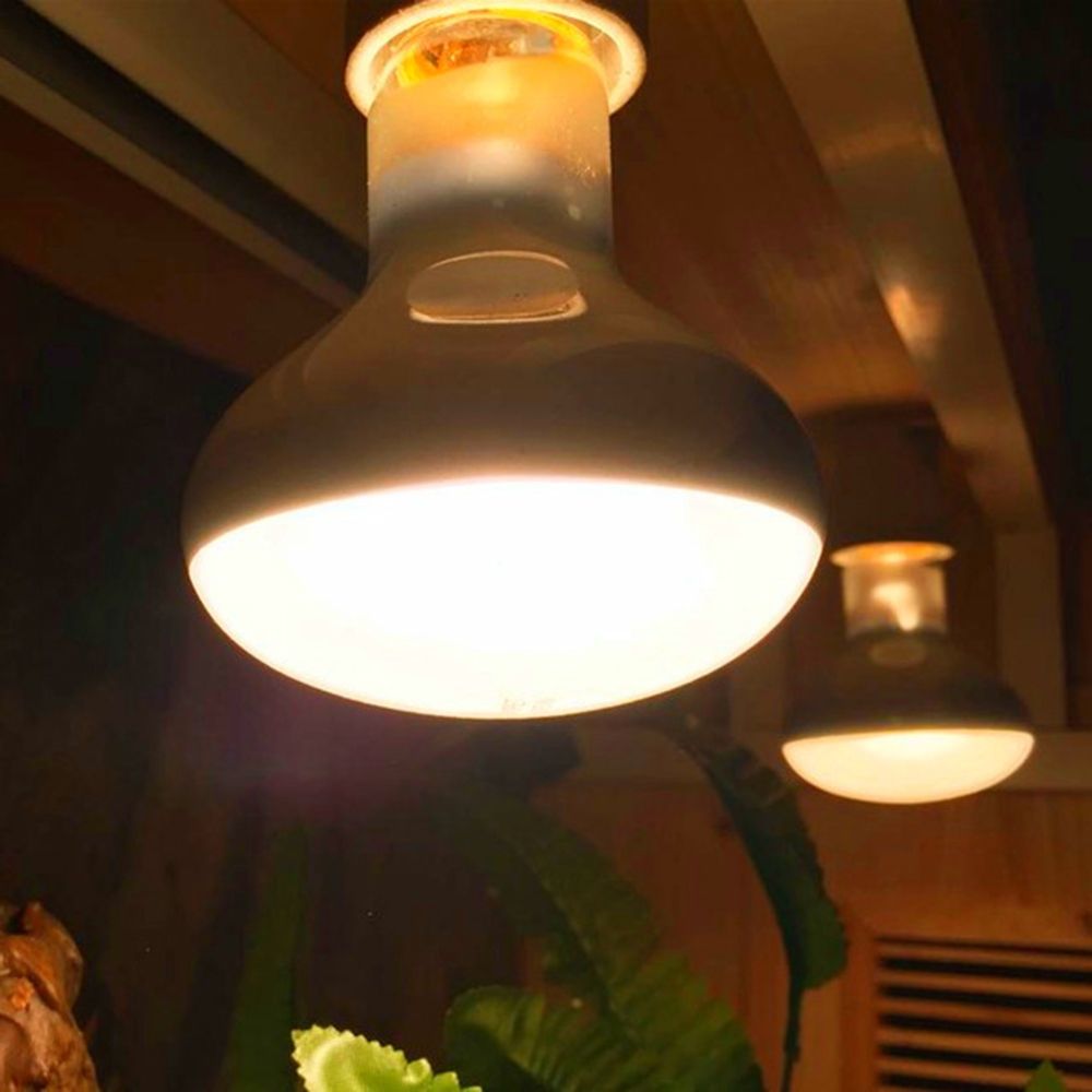 Basking Bulb Halogen - Contrôleur de température tortue, lampe thermique,