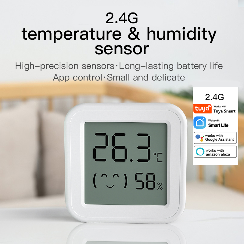 Digital Hygrometer Probe - Capteur de température et d'humidité Bluetooth,