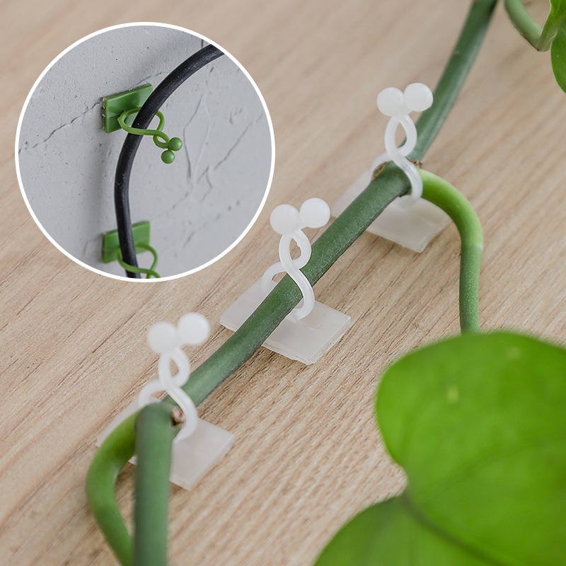 Vine Climbing Plastic - 10 crochets de fixation universels pour