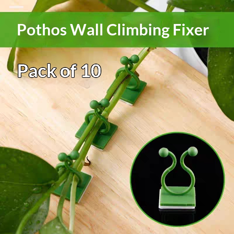 Vine Climbing Plastic - Clips de fixation murale auto-adhésifs pour