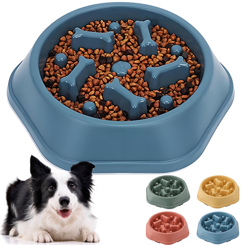 Royal Canin Food Medium - Bol pour chien à alimentation lente,