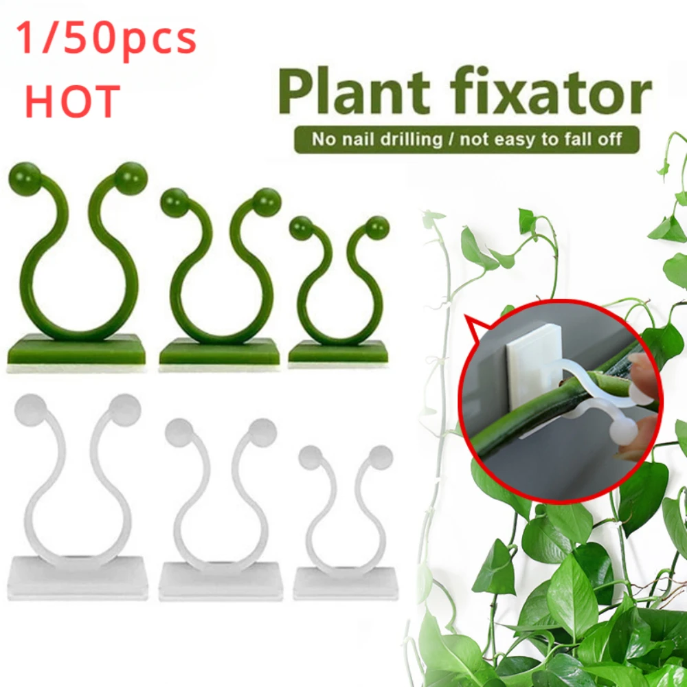 Vine Climbing Plastic - 1/30/50 pièces pour accessoires de jardin