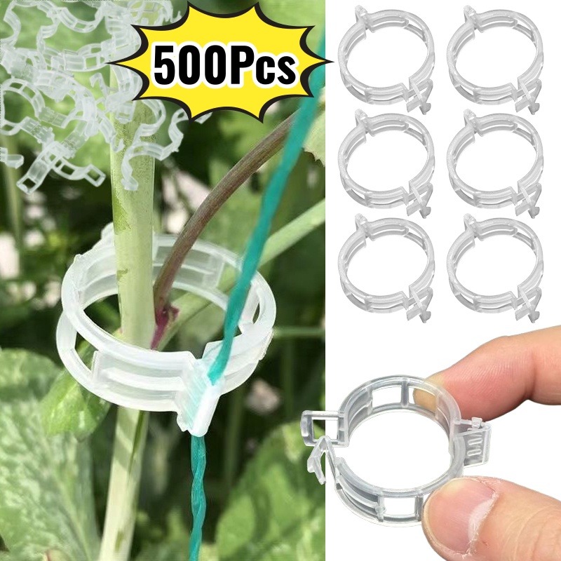 Vine Climbing Plastic - 500 pièces de clips de support