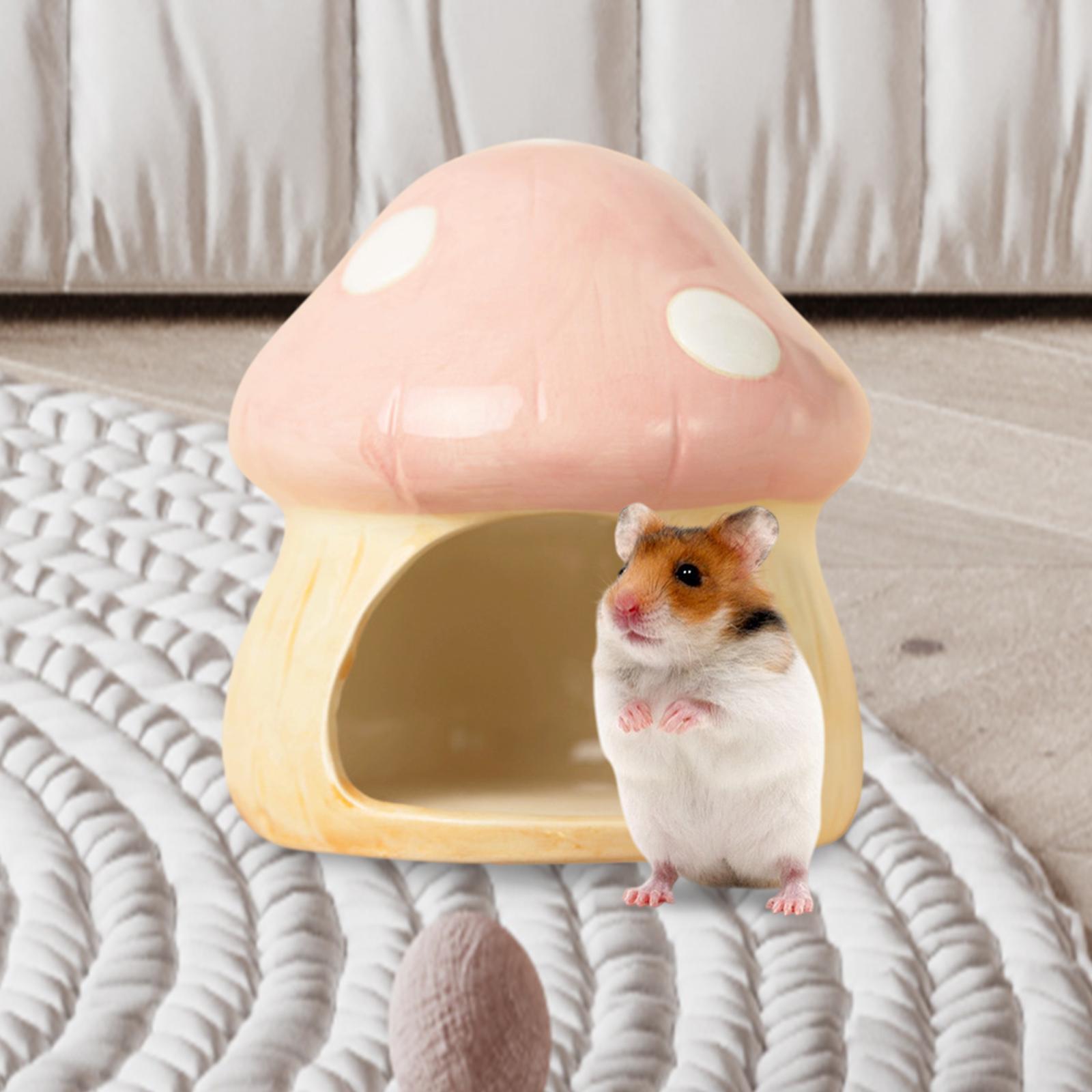 Hide Cave Ceramic - Cachette plus lente en céramique pour