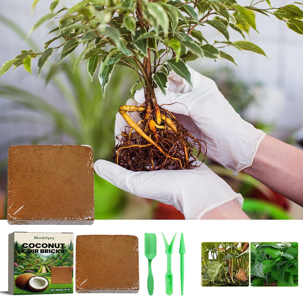Sol d'ampli de reptile de coco - Substrate Coconut Fiber avis et prix