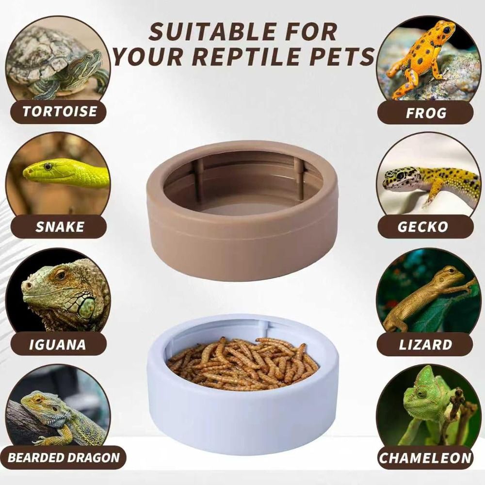 Gamelle portable anti-évasion  - Water Dish Reptile avis et prix