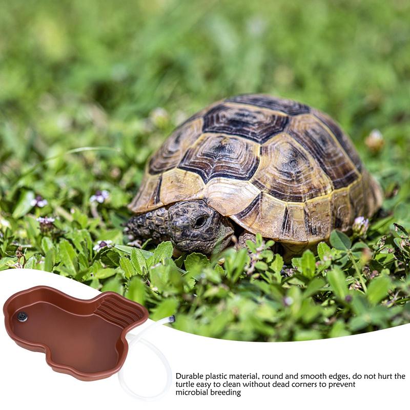 Plat d'alimentation pour tortu - Water Dish Reptile avis et prix