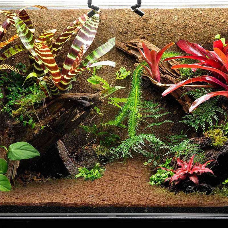 Tapis en fibre de noix de coco - Substrate Coconut Fiber avis et prix