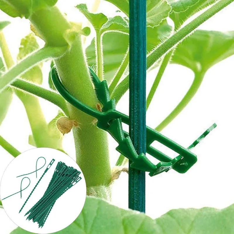 Attaches de fixation pour plan - Vine Climbing Plastic avis et prix