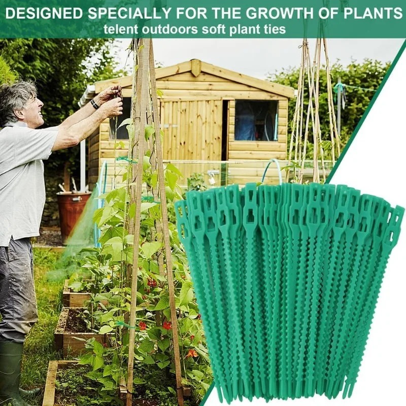 Attaches de fixation pour plan - Vine Climbing Plastic avis et prix