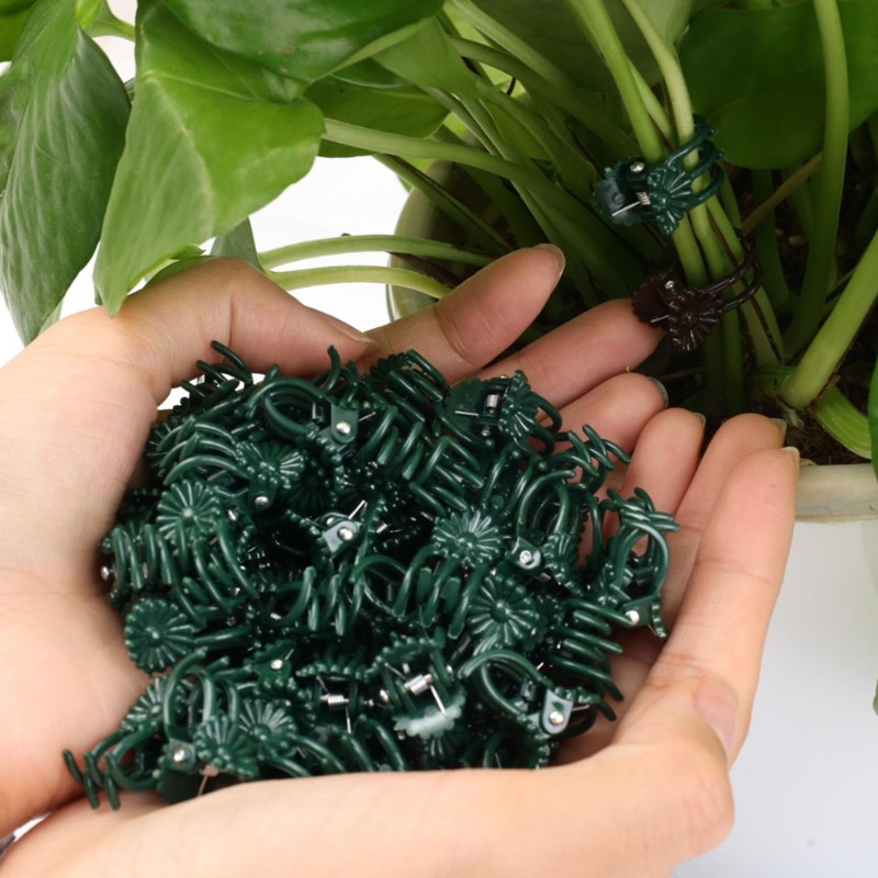 Clips de Soutien Mini en Gros  - Vine Climbing Plastic avis et prix