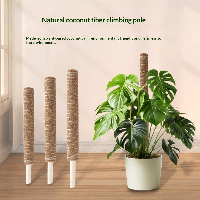 1 pièce de support de traction - Vine Climbing Plastic avis et prix
