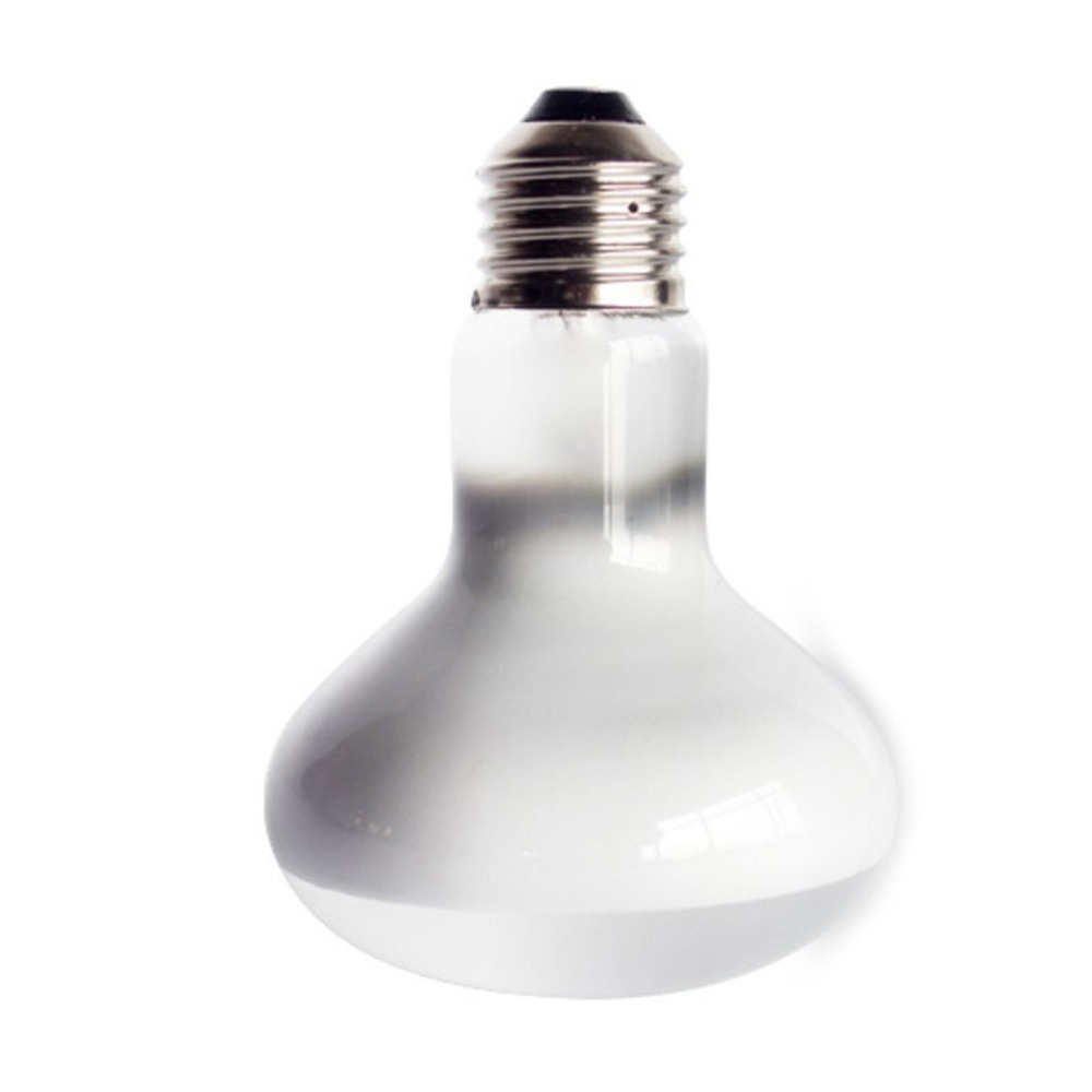 Lampe chauffante pour tortue,  - Basking Bulb Halogen avis et prix