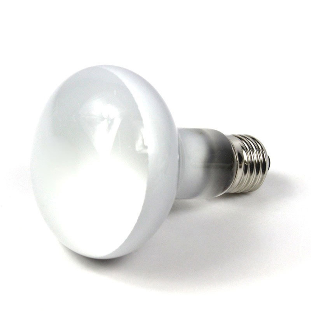 Lampe chauffante pour tortue,  - Basking Bulb Halogen avis et prix