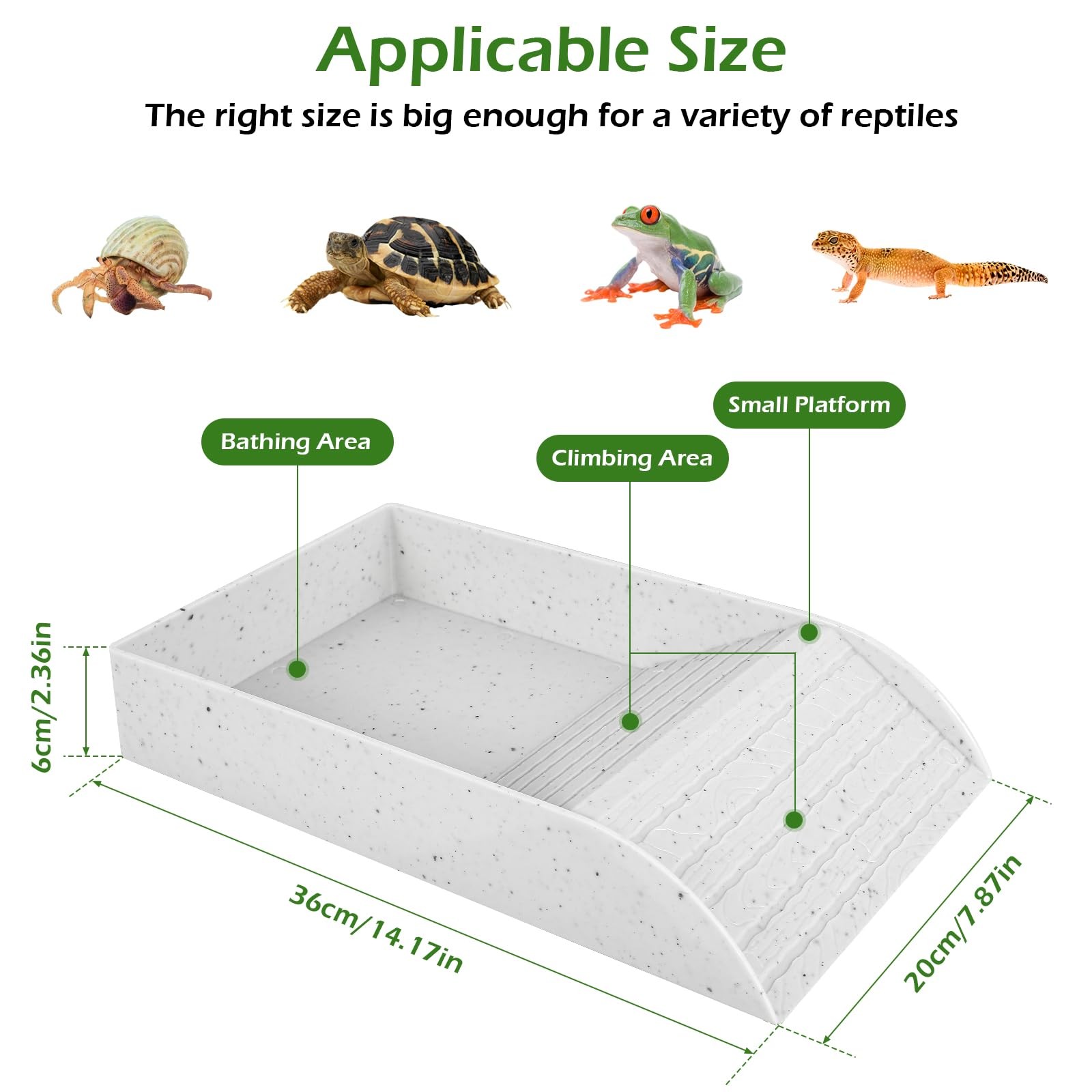 Pio de bain en forme de tortue - Water Dish Reptile avis et prix