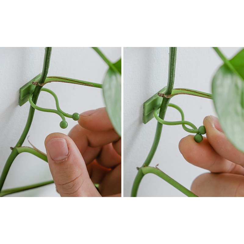 10 crochets de fixation univer - Vine Climbing Plastic avis et prix