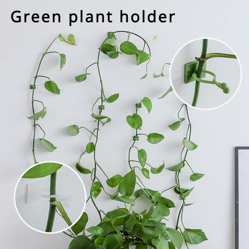 10 crochets de fixation univer - Vine Climbing Plastic avis et prix