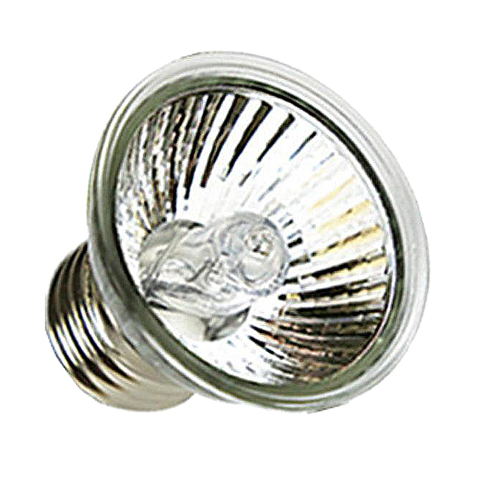 Lampe chauffante halogène UVA  - Basking Bulb Halogen avis et prix