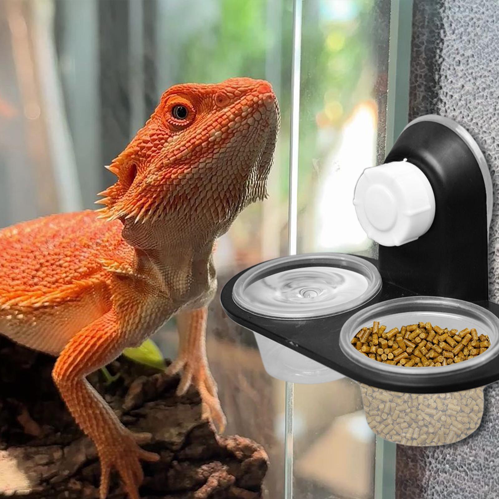 Distributeur de nourriture pou - Water Dish Reptile avis et prix