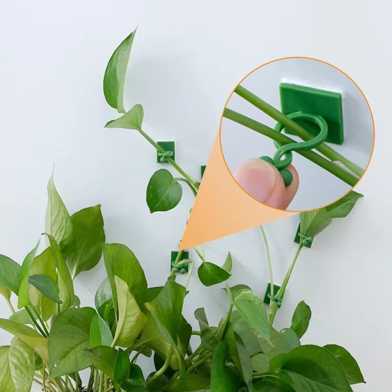 Clips de fixation murale auto- - Vine Climbing Plastic avis et prix
