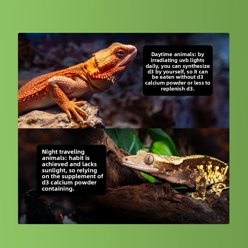 Poudre de calcium pour reptile - Vitamin D3 Reptile avis et prix