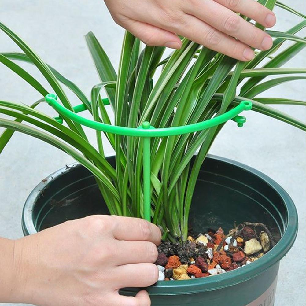 Support de plante grimpante ré - Vine Climbing Plastic avis et prix