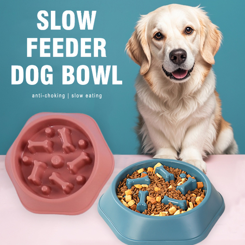 Bol pour chien à alimentation  - Royal Canin Food Medium avis et prix