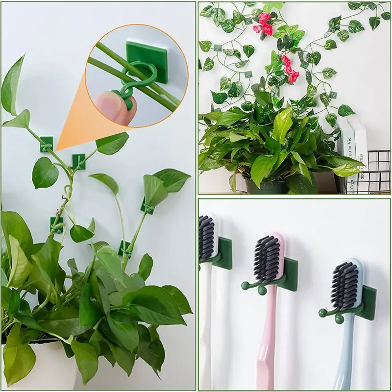 1/30/50 pièces pour accessoire - Vine Climbing Plastic avis et prix