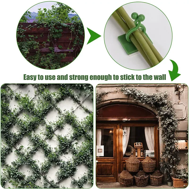 1/30/50 pièces pour accessoire - Vine Climbing Plastic avis et prix