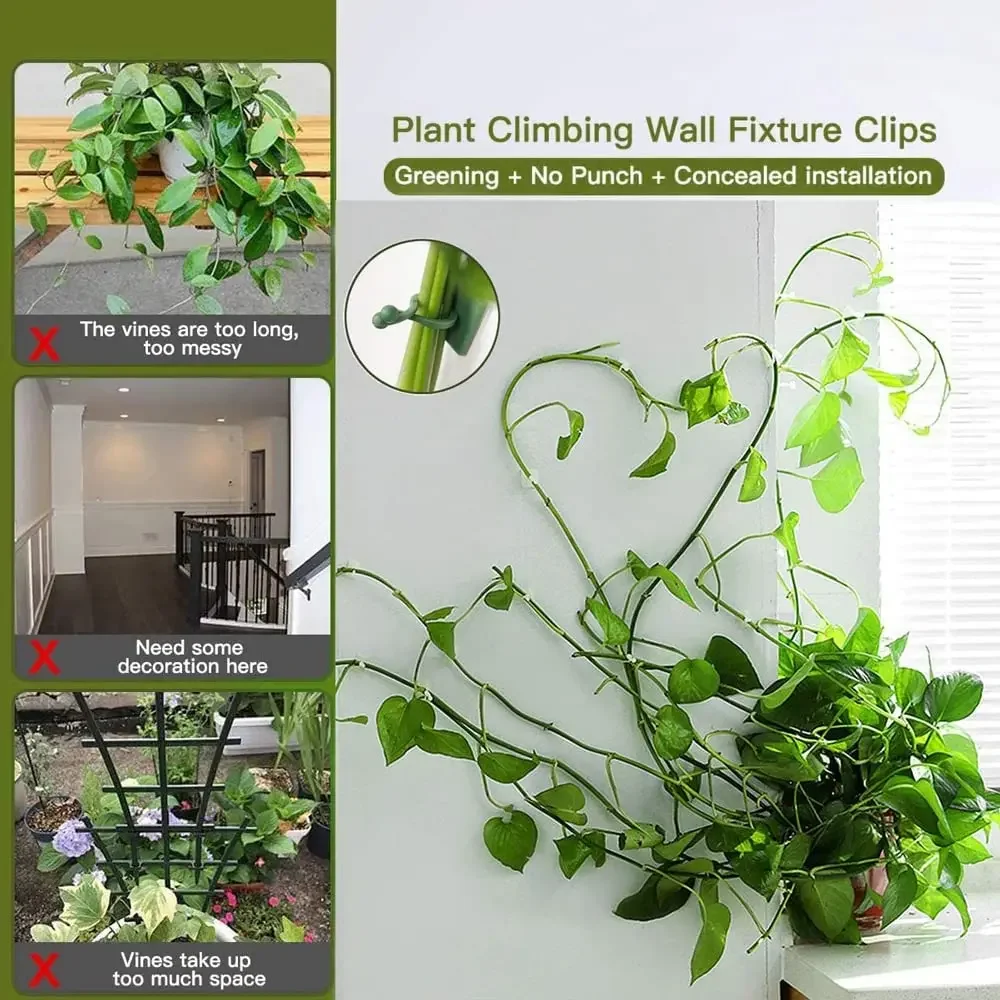 1/30/50 pièces pour accessoire - Vine Climbing Plastic avis et prix