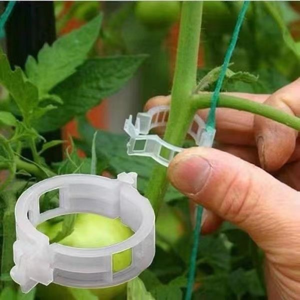 500 pièces de clips de support - Vine Climbing Plastic avis et prix