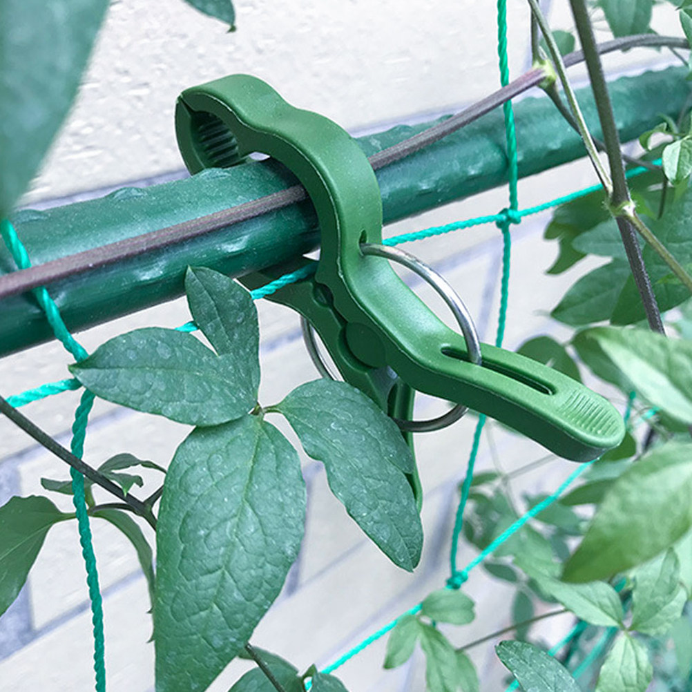 60 pinces de support en plasti - Vine Climbing Plastic avis et prix