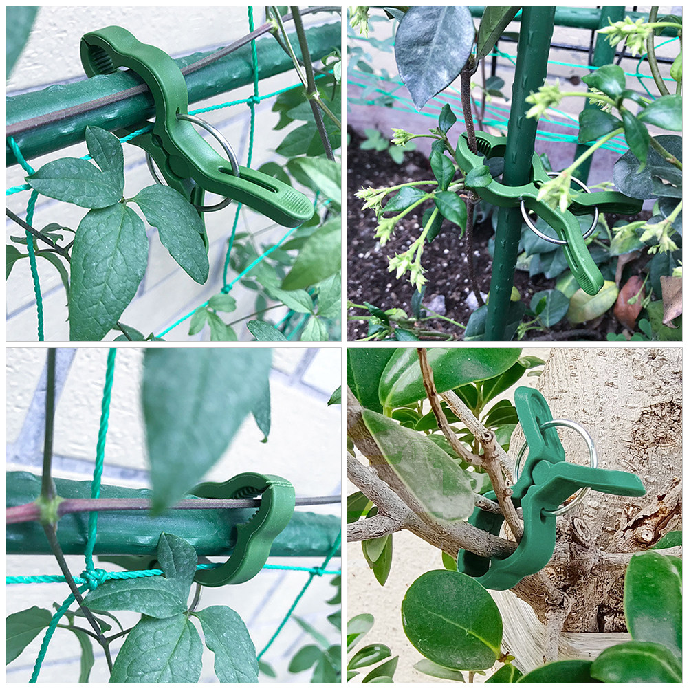 60 pinces de support en plasti - Vine Climbing Plastic avis et prix