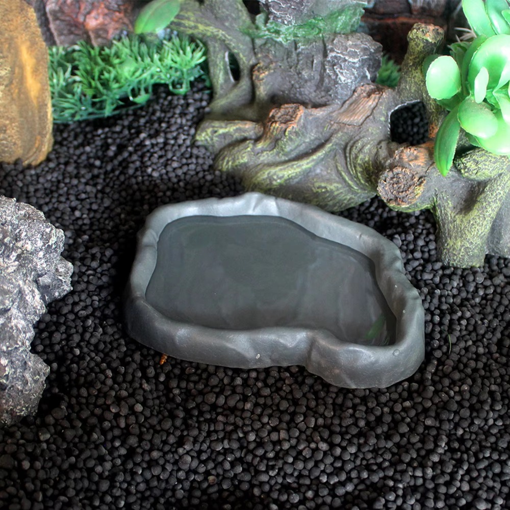 Bol d'alimentation pour reptil - Water Dish Reptile avis et prix