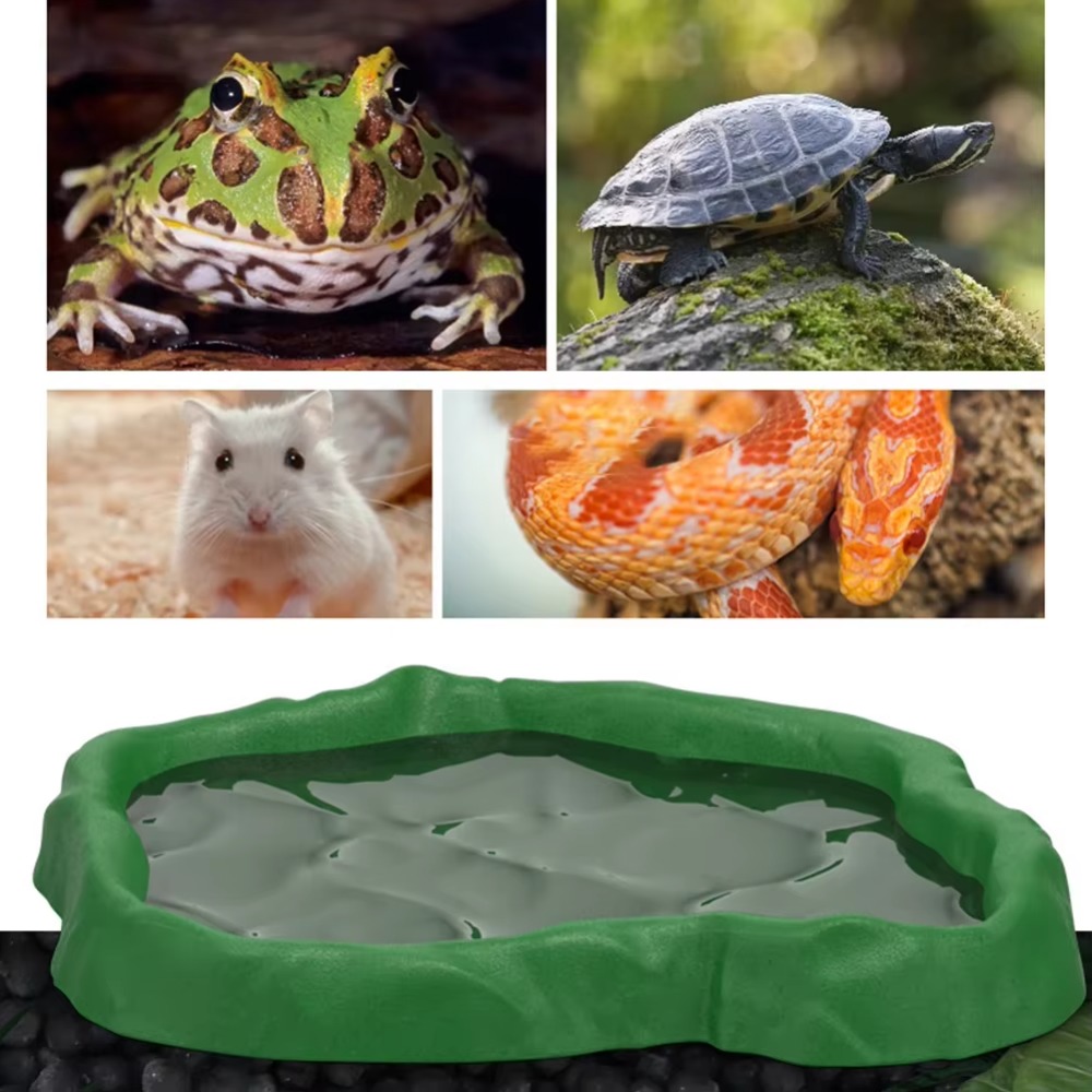 Bol d'alimentation pour reptil - Water Dish Reptile avis et prix