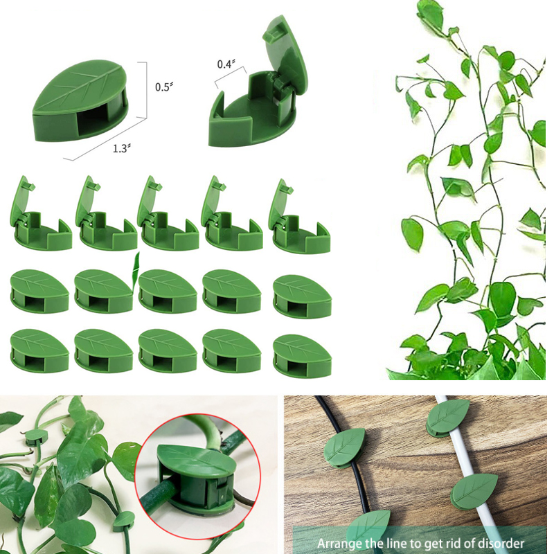 Fixation murale Invisible pour - Vine Climbing Plastic avis et prix