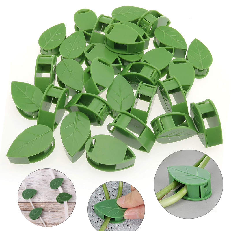 Fixation murale Invisible pour - Vine Climbing Plastic avis et prix