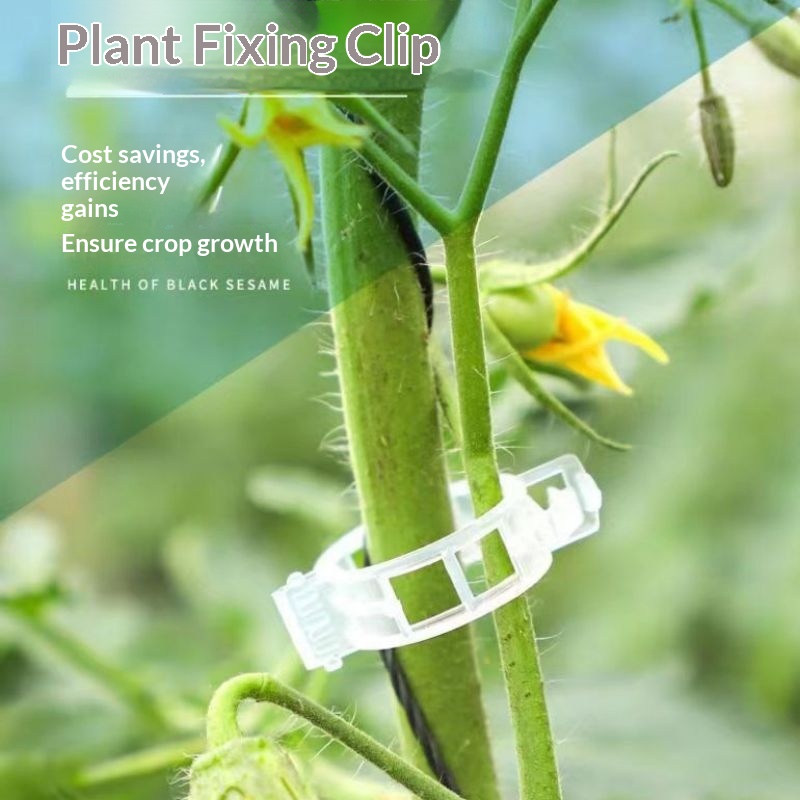Clips de support pour plantes  - Vine Climbing Plastic avis et prix