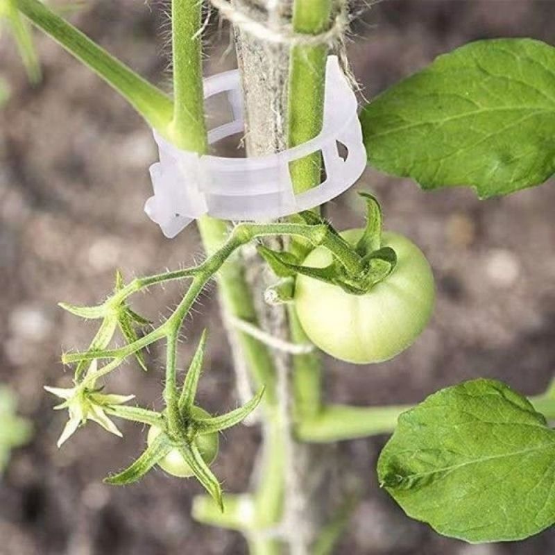 Clips de support pour plantes  - Vine Climbing Plastic avis et prix