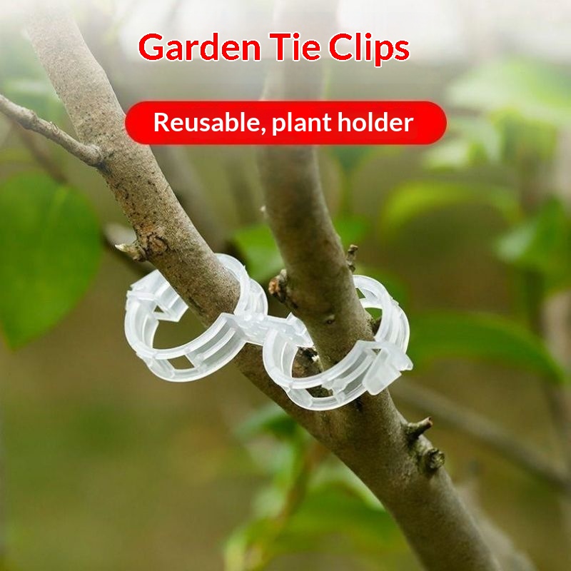 Clips de support pour plantes  - Vine Climbing Plastic avis et prix