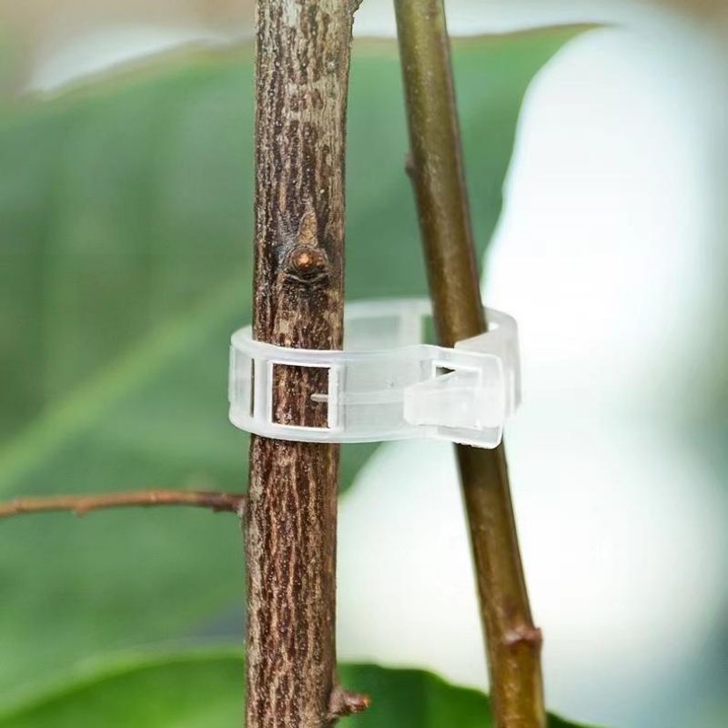 Clips de support pour plantes  - Vine Climbing Plastic avis et prix