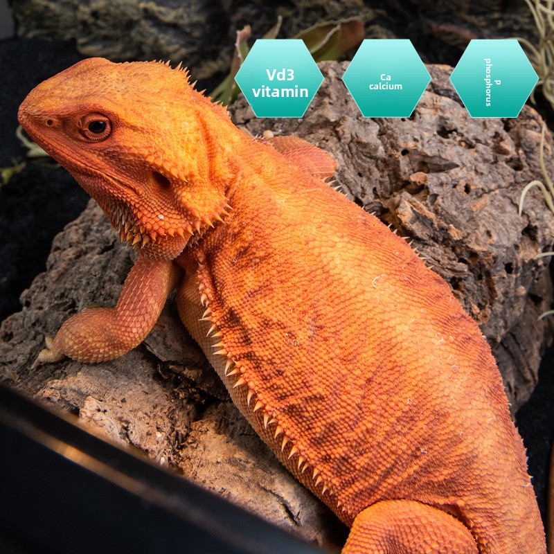 SuperRep Reptile Calcium Pro-V - Vitamin D3 Reptile avis et prix