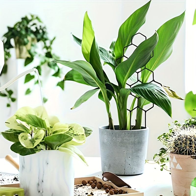 1 treillis pour plantes en for - Vine Climbing Plastic avis et prix