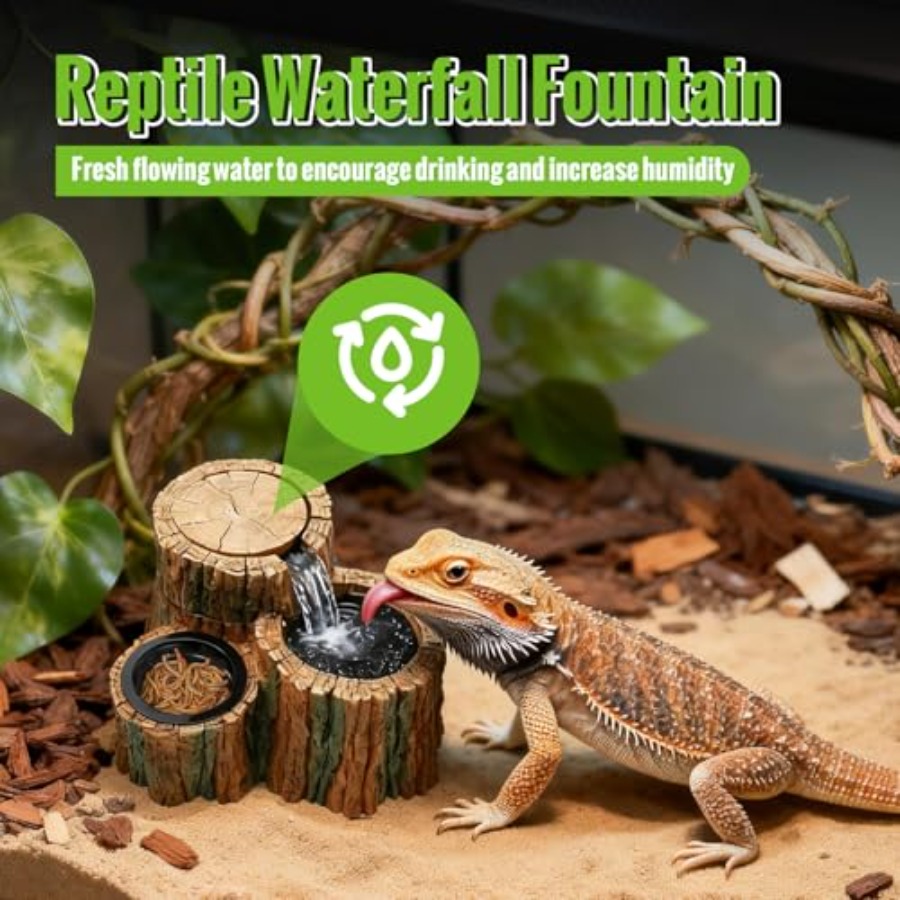 Fontaine à eau pour reptiles 2 - Water Dish Reptile avis et prix